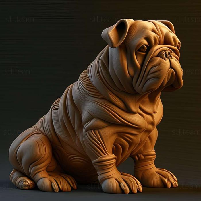 Catahula Bulldog dog